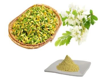 quercetin powder