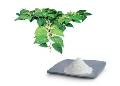 Pure Resveratrol Powder