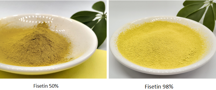 Fisetin Powder Fisetin Powder