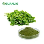 Folha de Moringa Pura em Pó