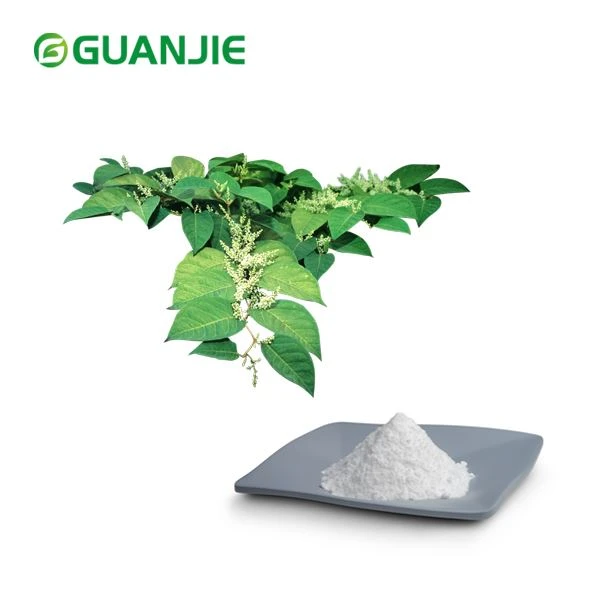 Pó Resveratrol Micronizado
