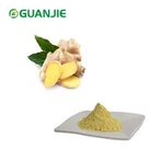 Suco de gengibre em pó