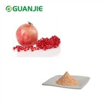 Pó de fruta de romã