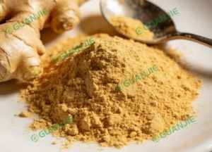 natural ginger extract natural ginger extract