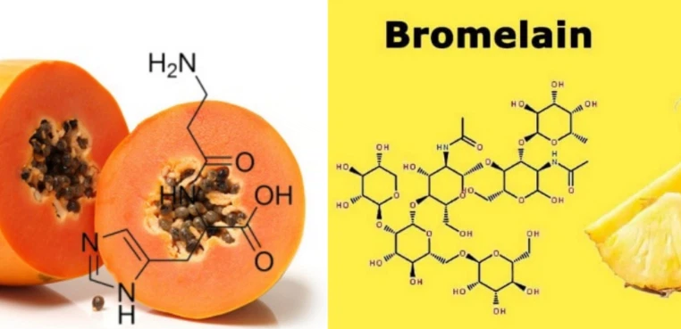 papain and bromelain powder papain and bromelain powder