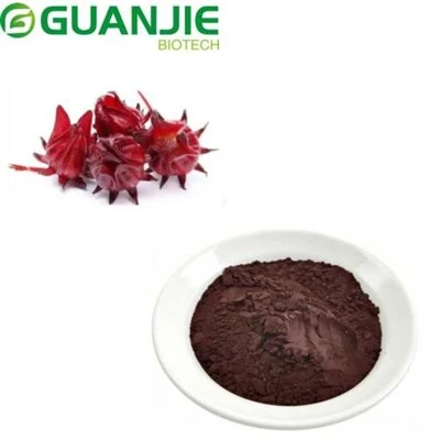 Pó de extrato de flor de hibisco